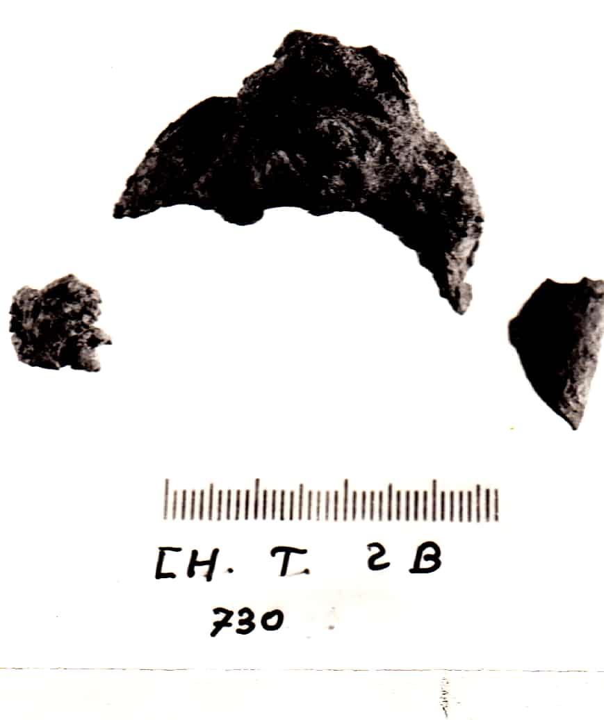 fibula, a navicella (I°metà VII a.C)
