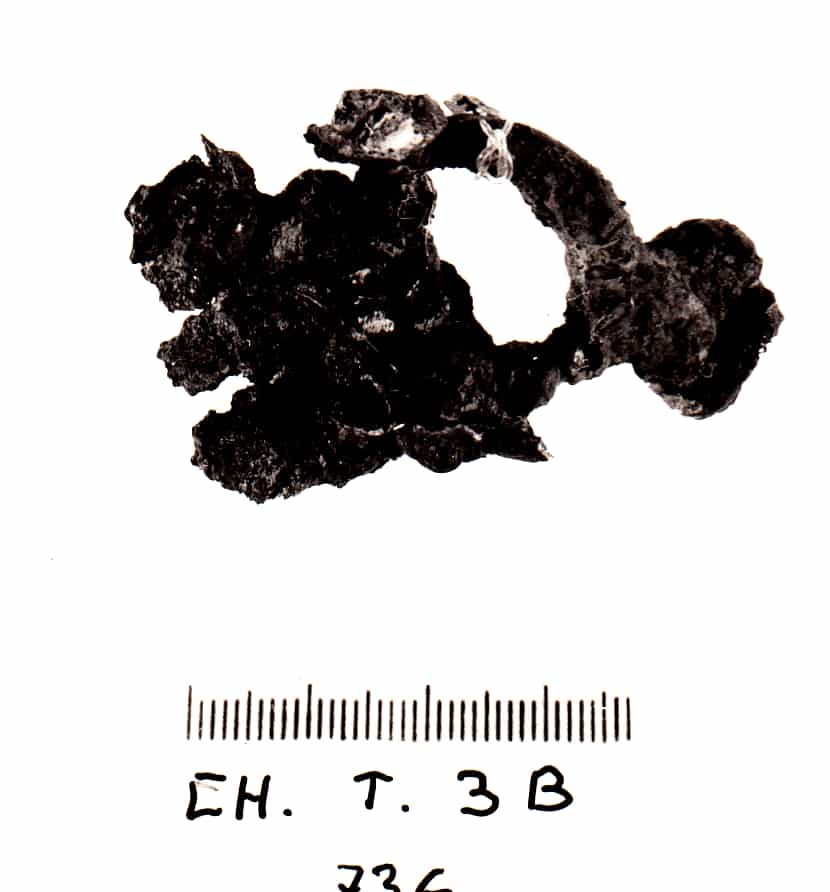 anello (VII a.C)