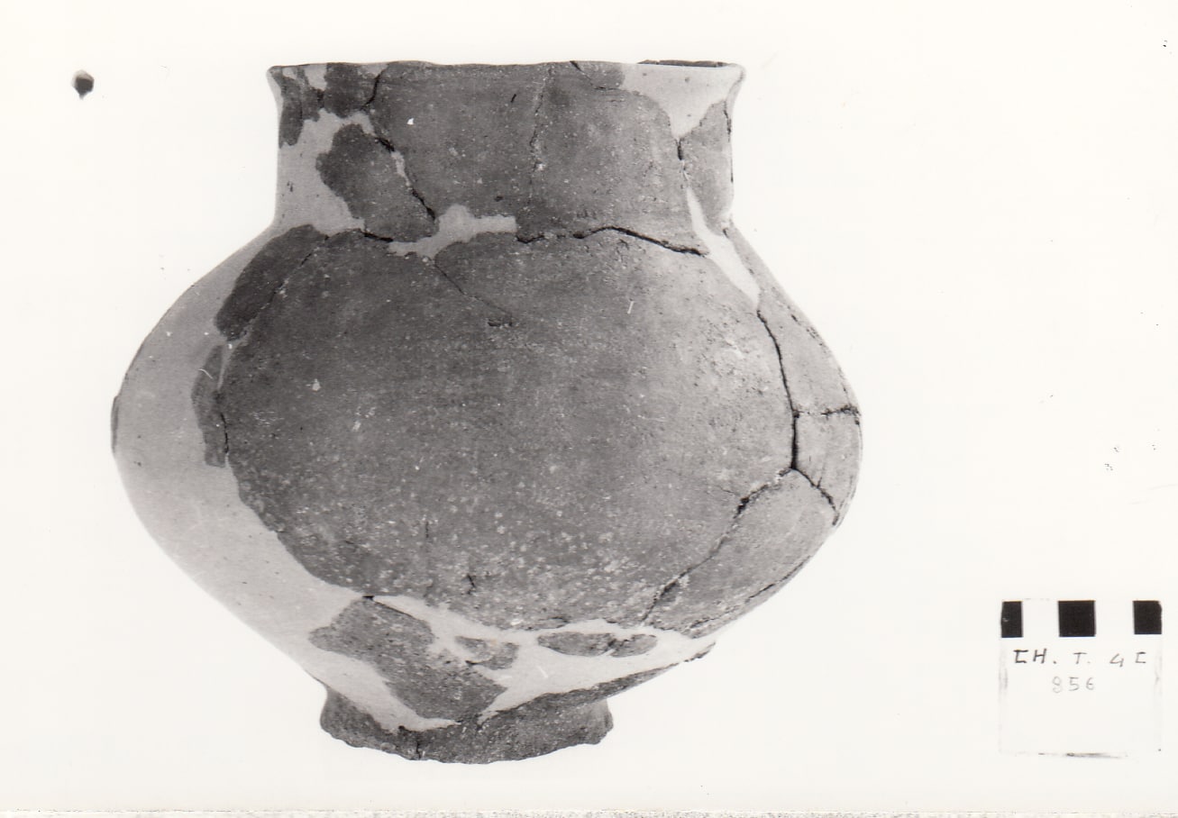 urna - Cultura Ligure della Prima Età del Ferro (VII a.C)