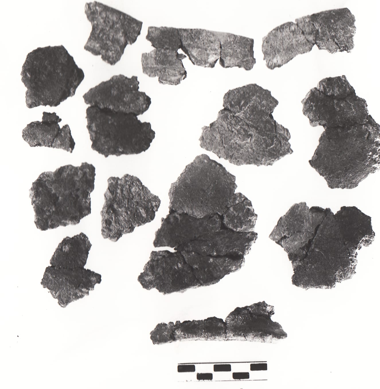 urna - Cultura Ligure della Prima Età del Ferro (VII a.C)