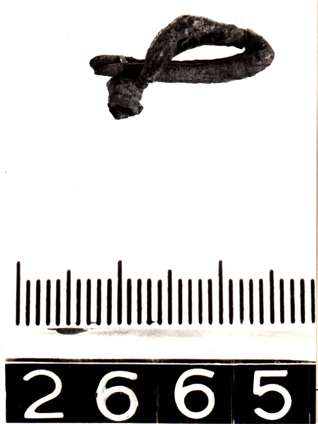 fibula - Cultura Ligure (Prima Età del Ferro)