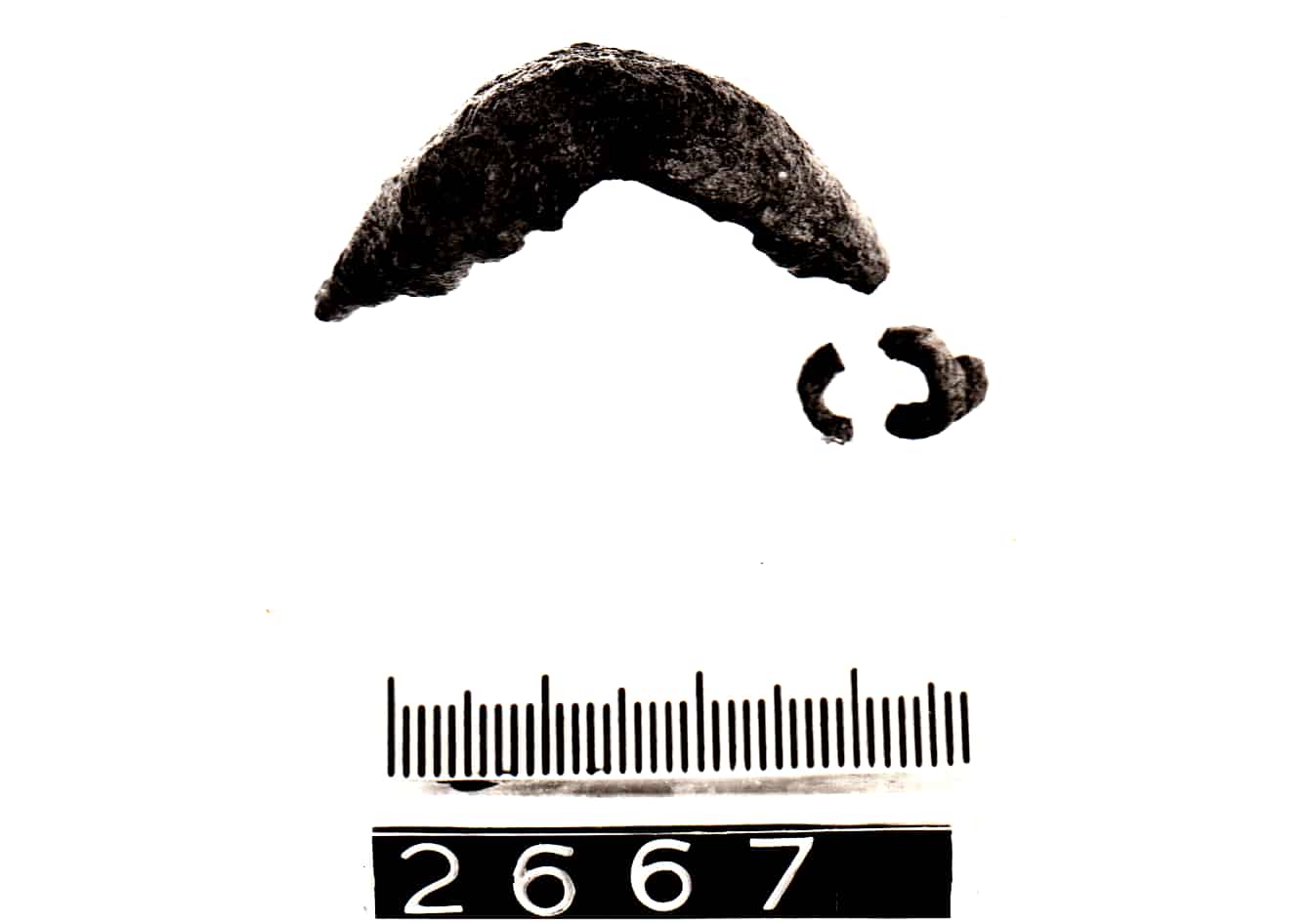 fibula - Cultura Ligure (Prima Età del Ferro)