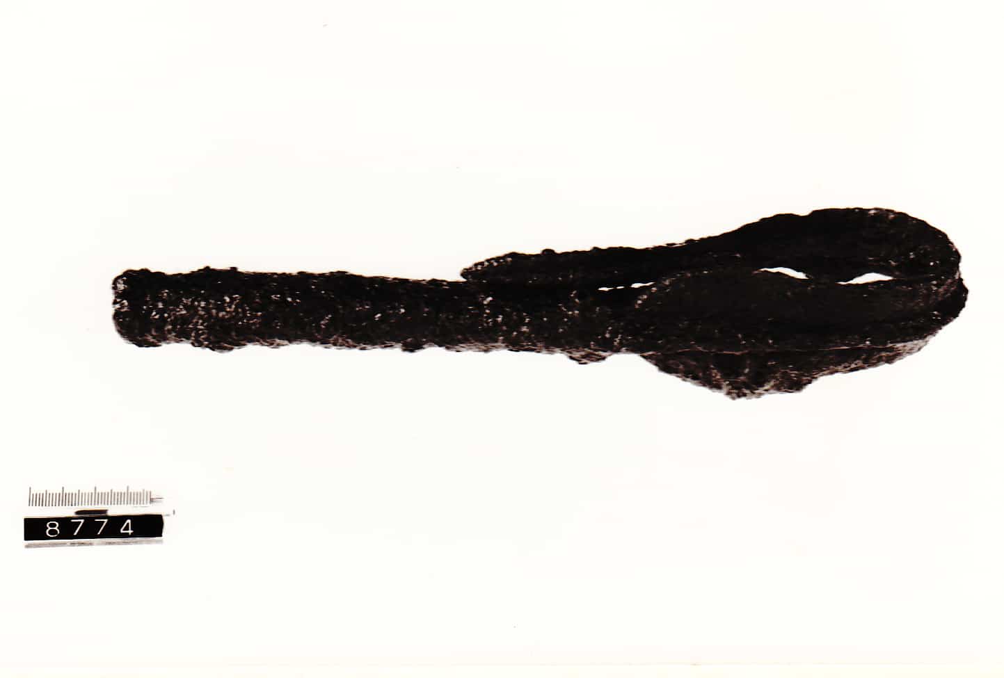 lancia - Cultura Ligure (Prima Età del Ferro)