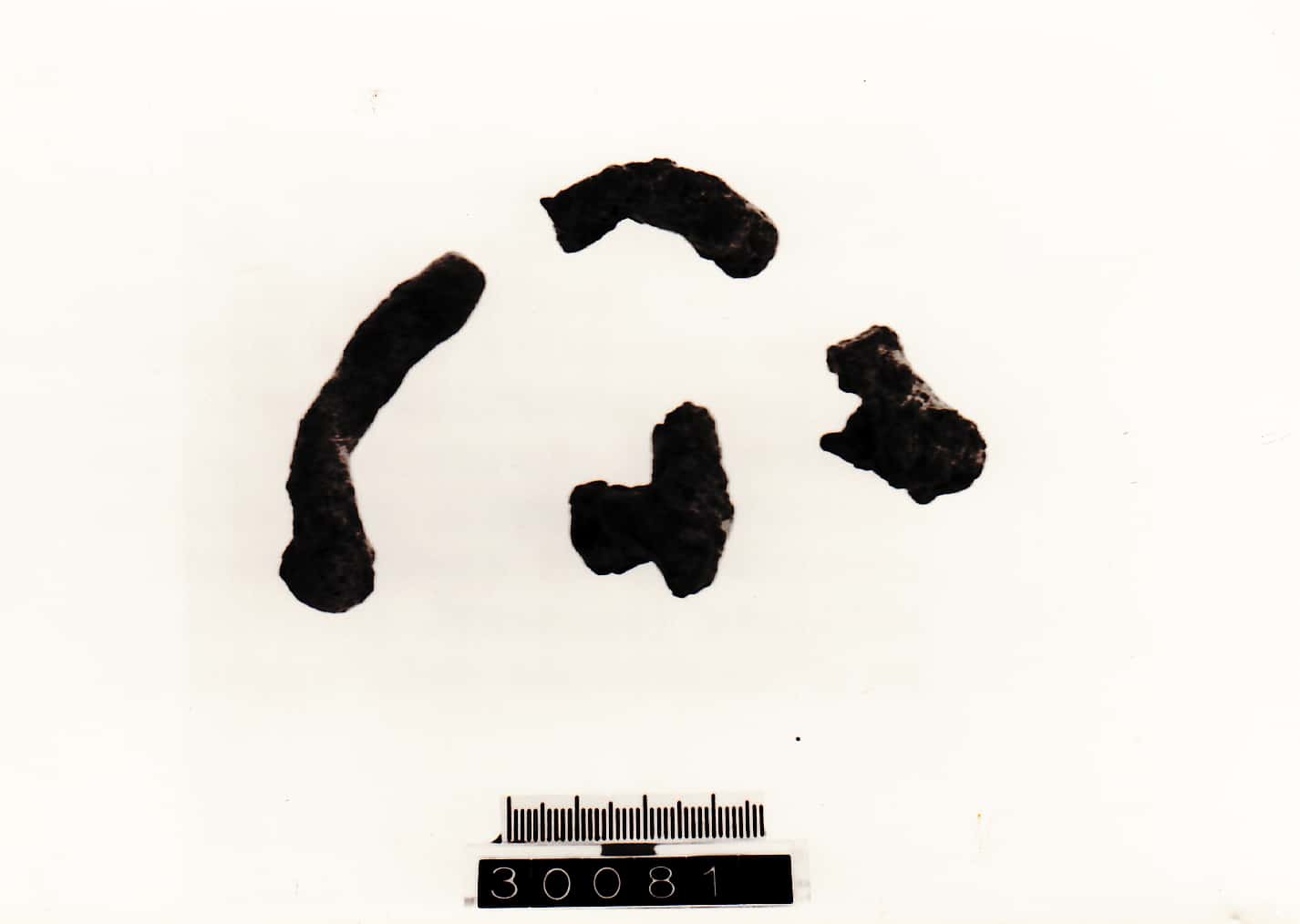 bracciale - Cultura Ligure della Prima Età del Ferro (Prima Età del Ferro)