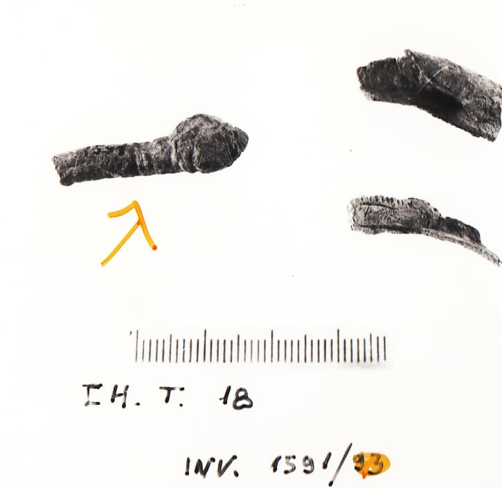 bracciale - Cultura Ligure della Prima Età del Ferro (Prima Età del Ferro)