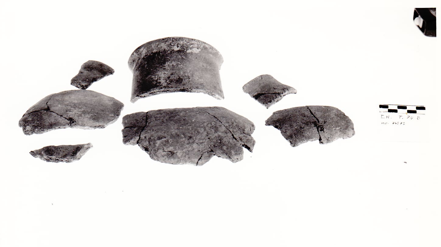 olla - Cultura Ligure della Prima Età del Ferro (VII a.C)