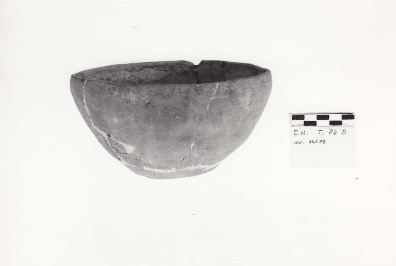 scodella - Cultura Ligure della Prima Età del Ferro (VII a.C)