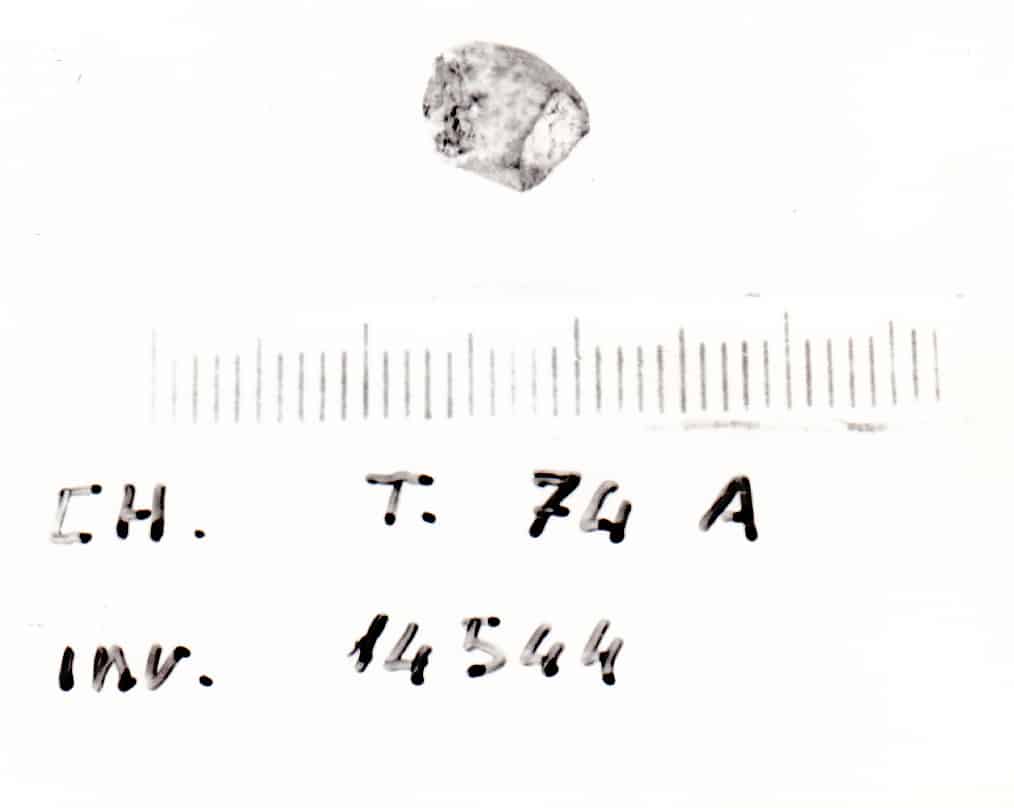 borchia - Cultura Ligure della Prima Età del Ferro (VII a.C)