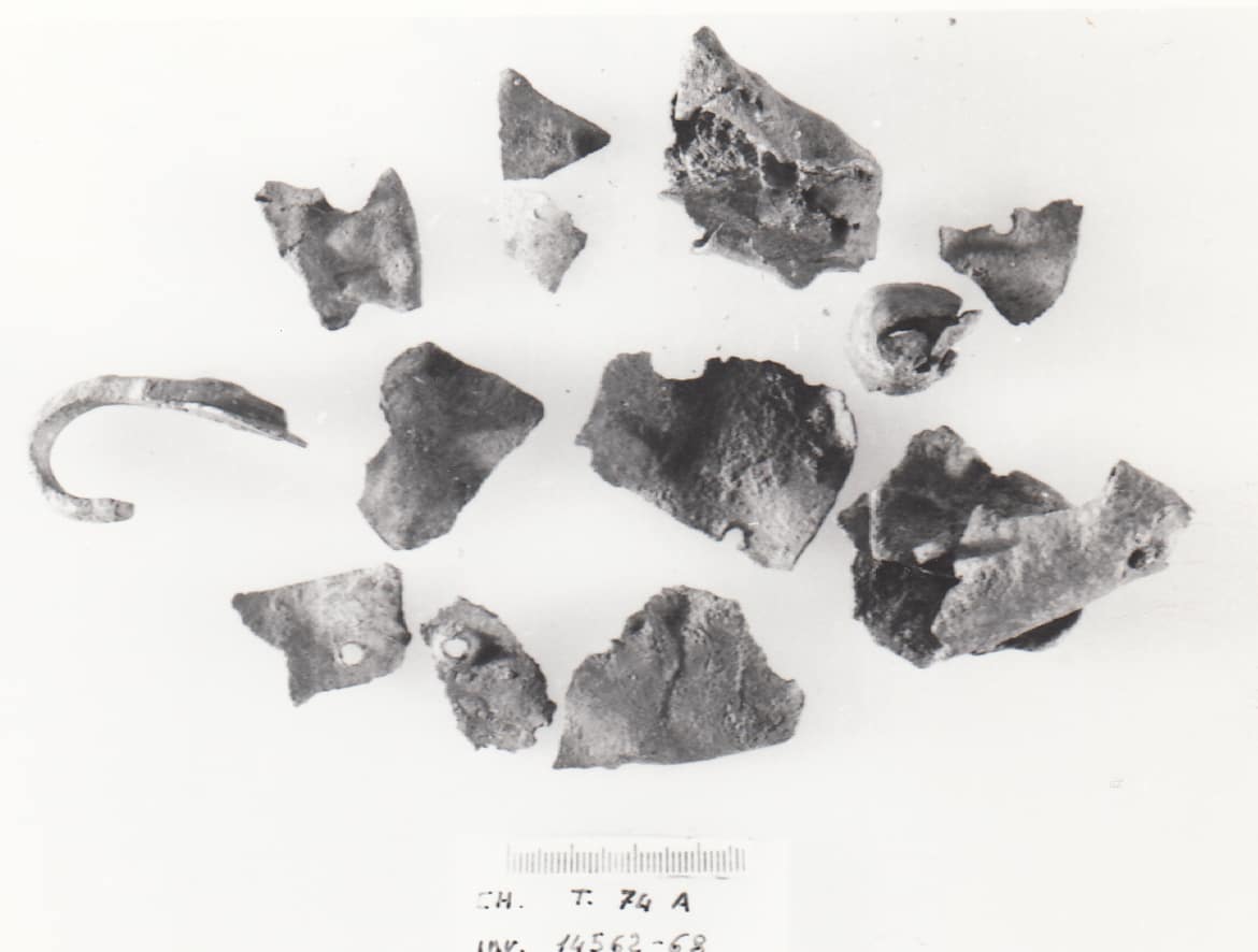 fibbia - Cultura Ligure della Prima Età del Ferro (VII a.C)