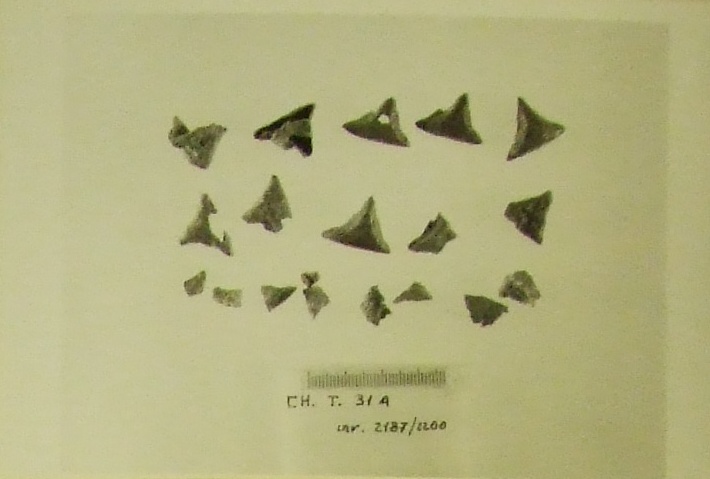 borchia - Cultura Ligure della Prima Età del Ferro (VII a.C)