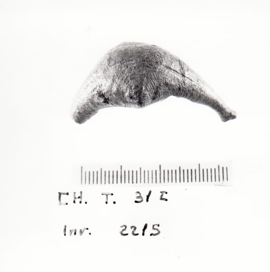 fibula - Cultura Ligure della Prima Età del Ferro (seconda metà VIII a.C)