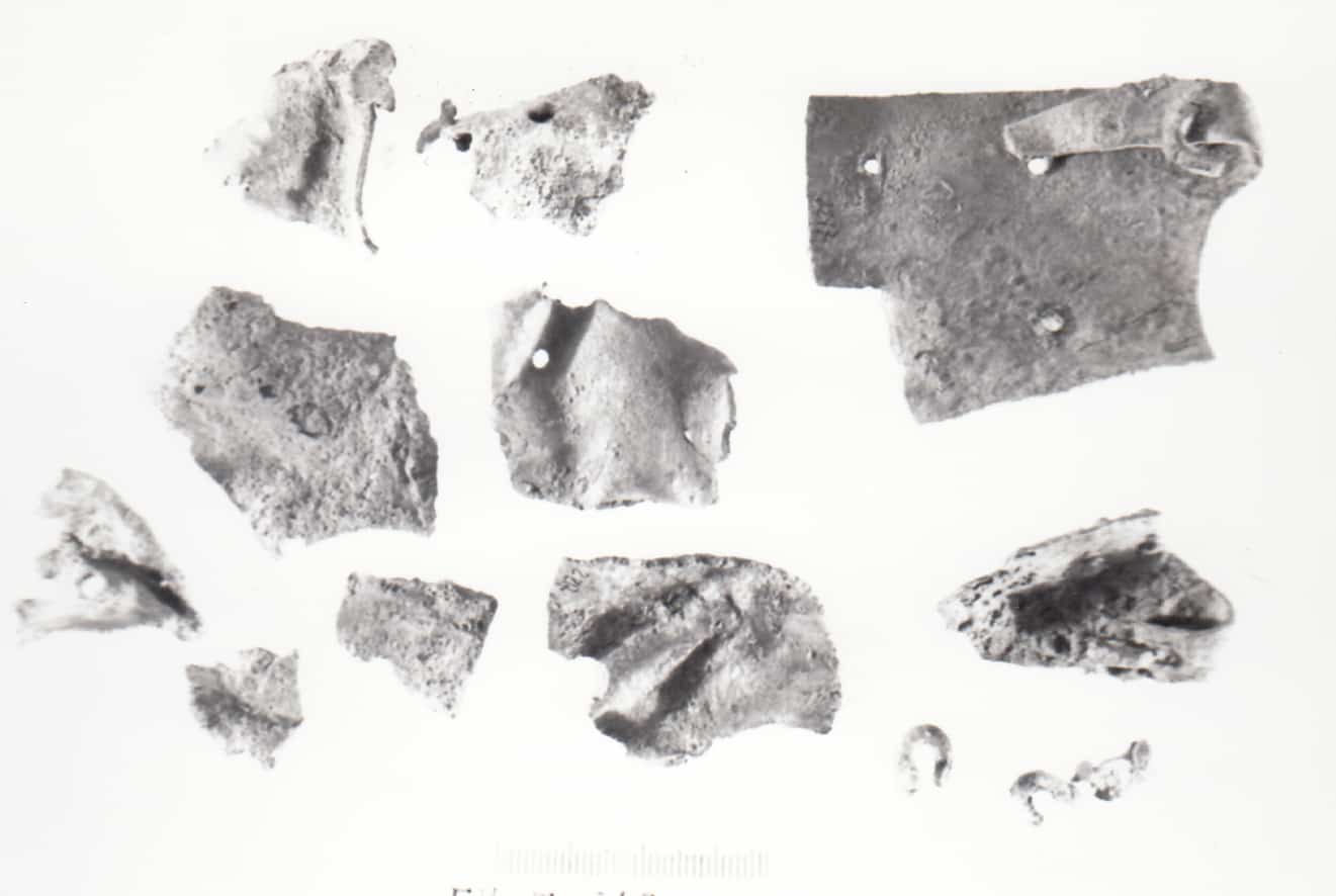 fibbia - Cultura Ligure della Prima Età del Ferro (VII a.C)