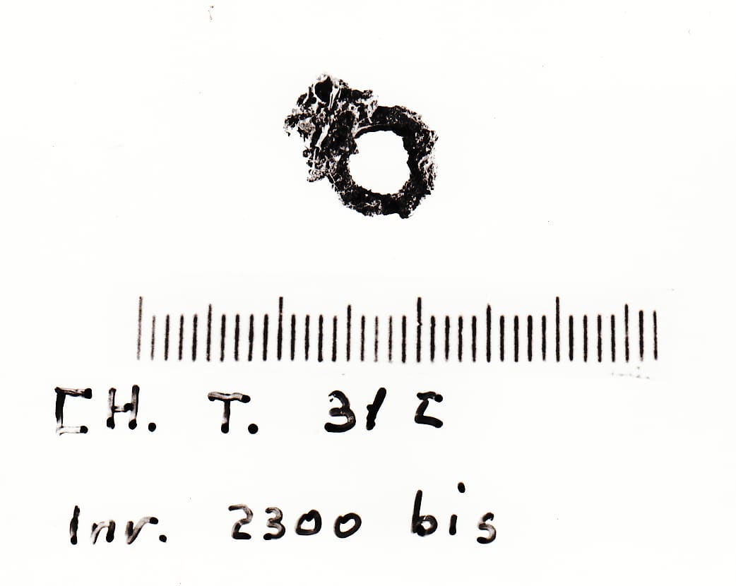 anello - Cultura Ligure della Prima Età del Ferro (VII a.C)