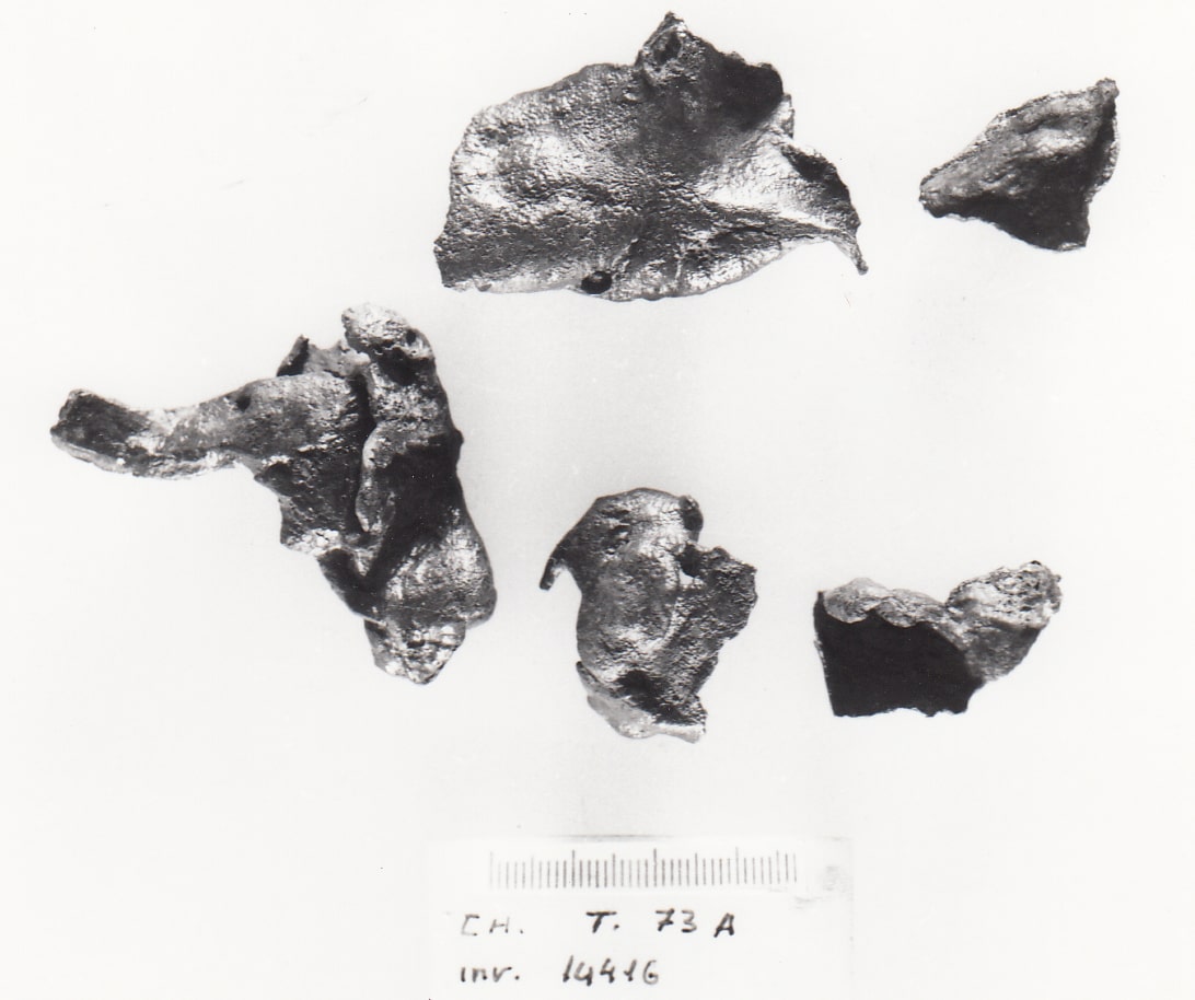 fibbia - Cultura Ligure della Prima Età del Ferro (VII a.C)