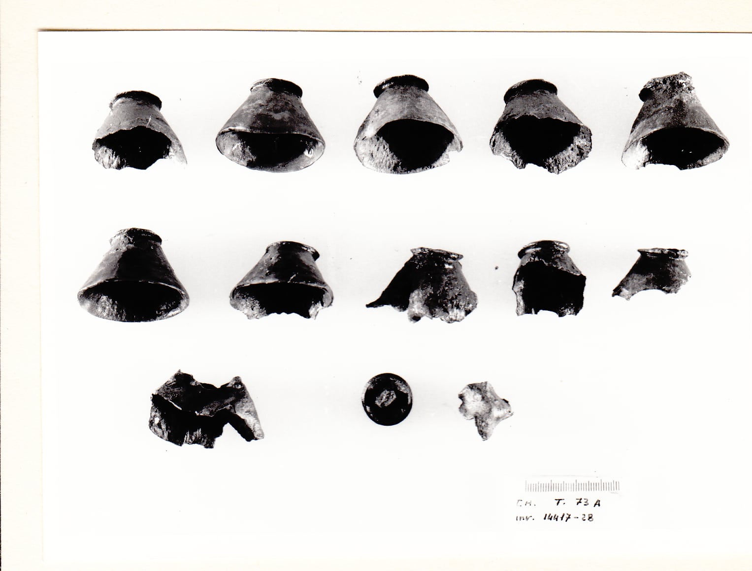 borchia - Cultura Ligure della Prima Età del Ferro (VII a.C)