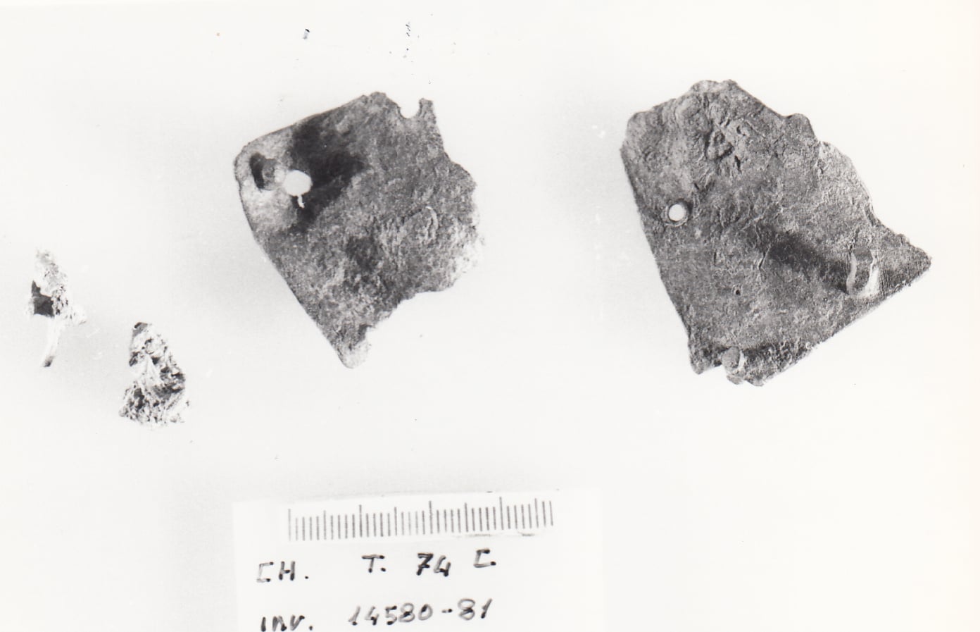 lamina - Cultura Ligure della Prima Età del Ferro (VII a.C)