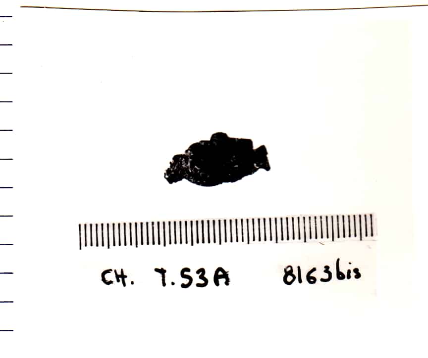 orecchino - Cultura Ligure della Prima Età del Ferro (VII a.C)