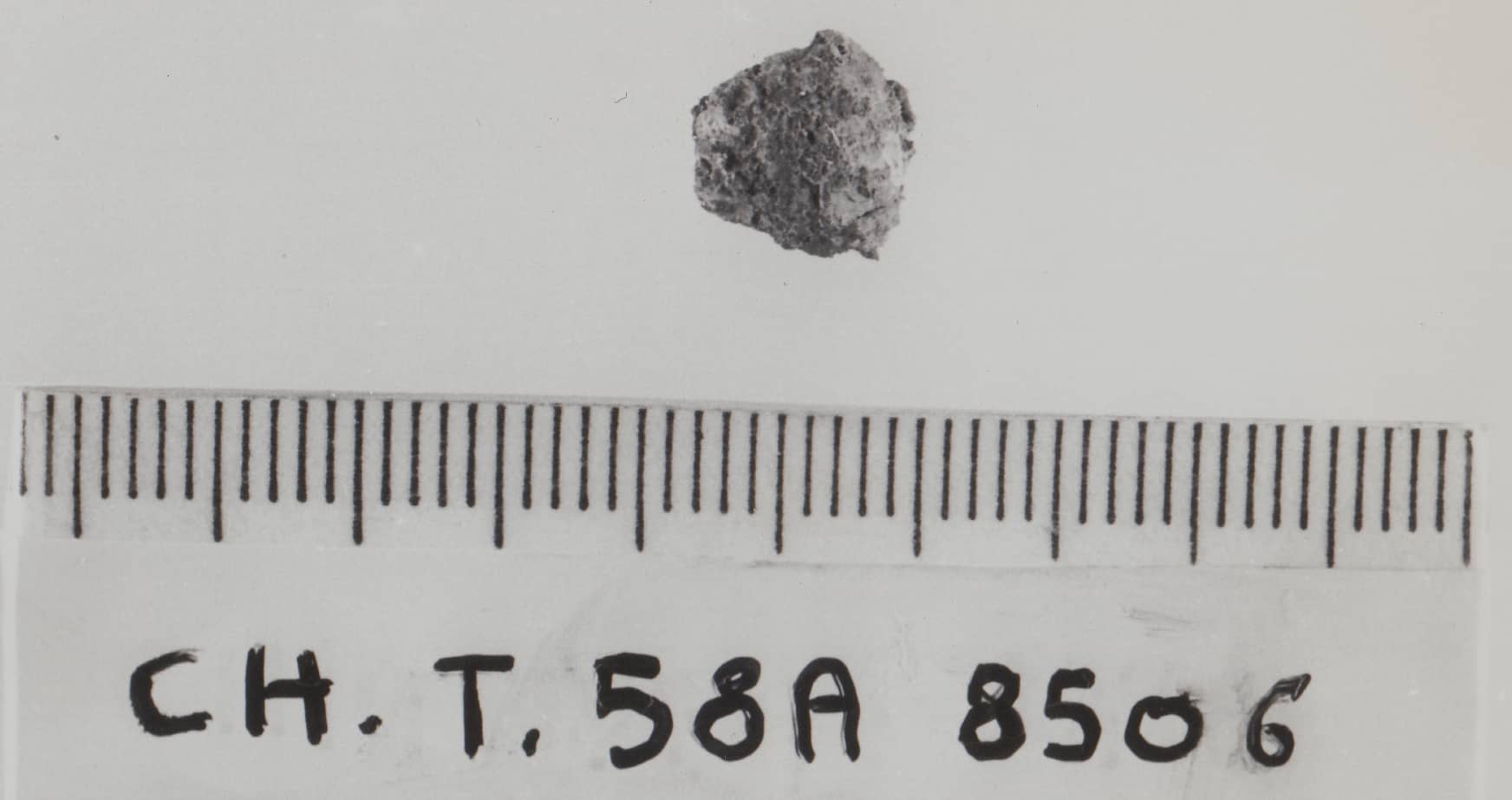 bottone - cultura ligure della prima età del Ferro (VII a.C)