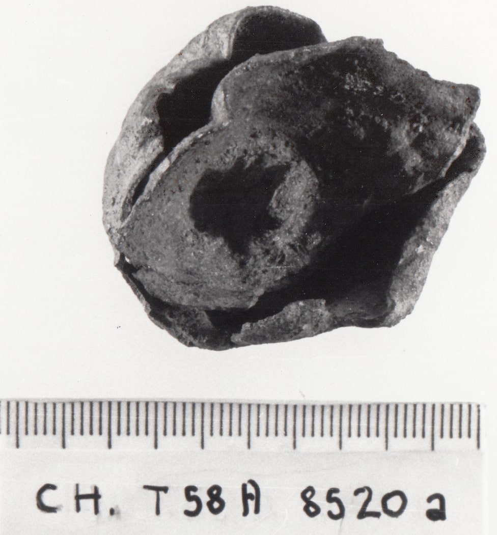 bottone - cultura ligure della prima età del Ferro (VII a.C)