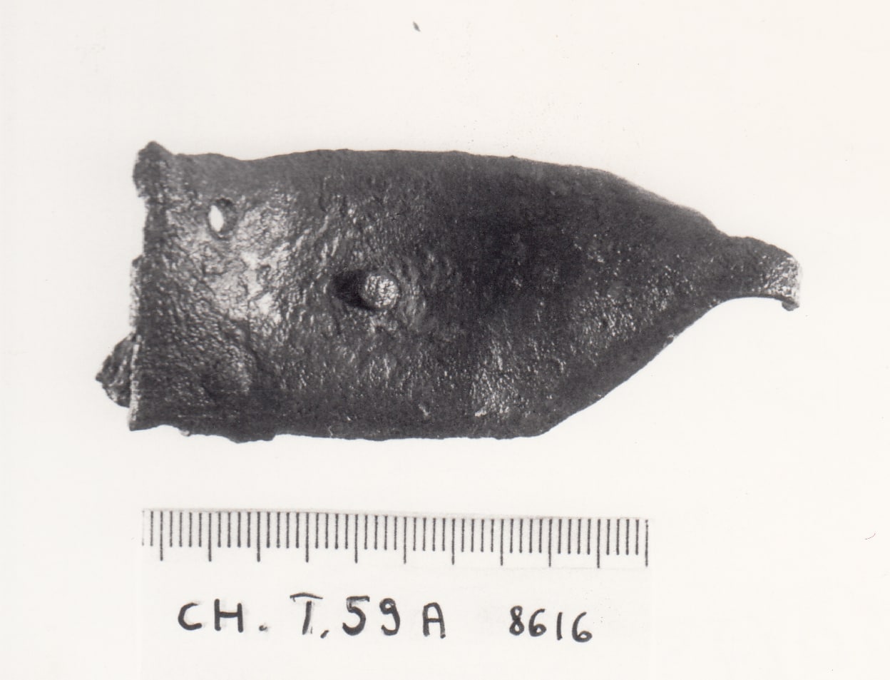 fibbia - cultura ligure della prima età del Ferro (VII a.C)