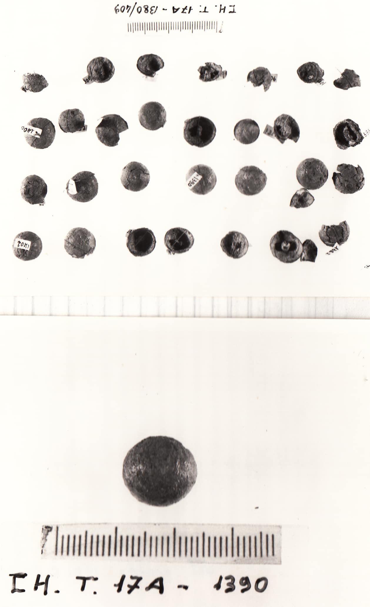 bottone - Cultura Ligure della Prima Età del Ferro (VIII - VII a.C)