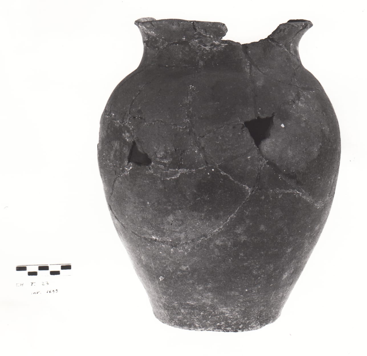 urna - Cultura Ligure della Prima Età del Ferro (VII a.C)