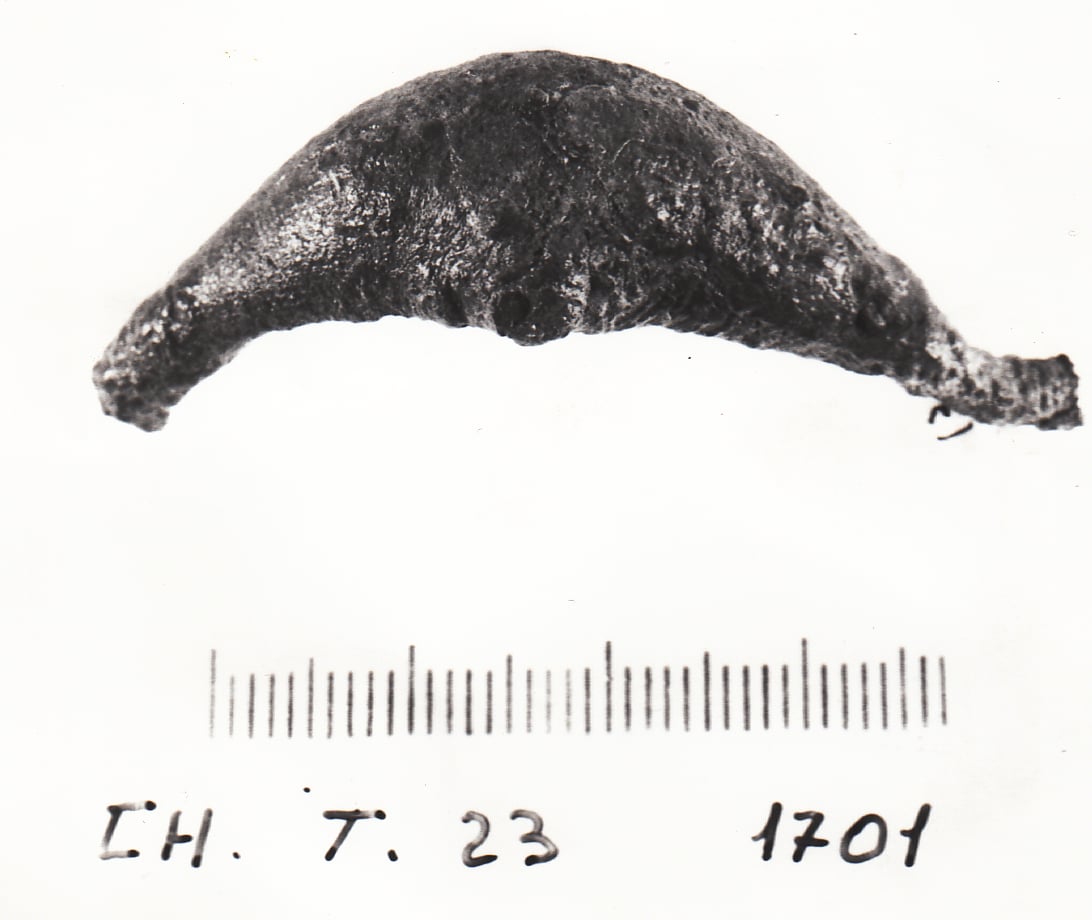 fibula, a navicella (VII a.C)