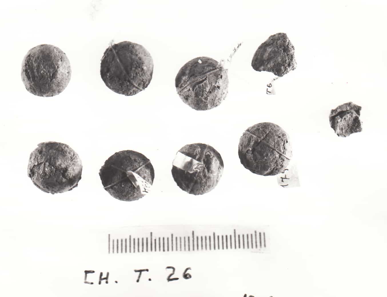 urna - Cultura Ligure della Prima Età del Ferro (VII a.C)