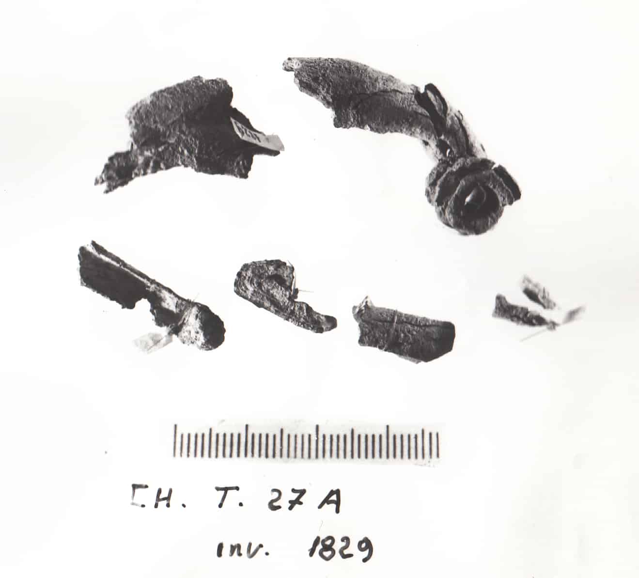 fibula, a navicella (seconda metà / inizi VII - VI a.C)