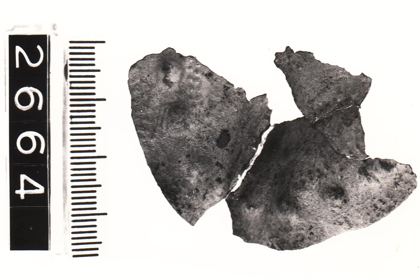 disco - Cultura Ligure della Prima Età del Ferro (VII a.C)