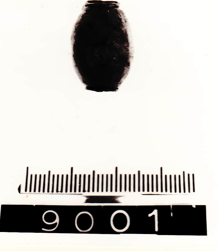 vago - Cultura Ligure (Prima Età del Ferro)