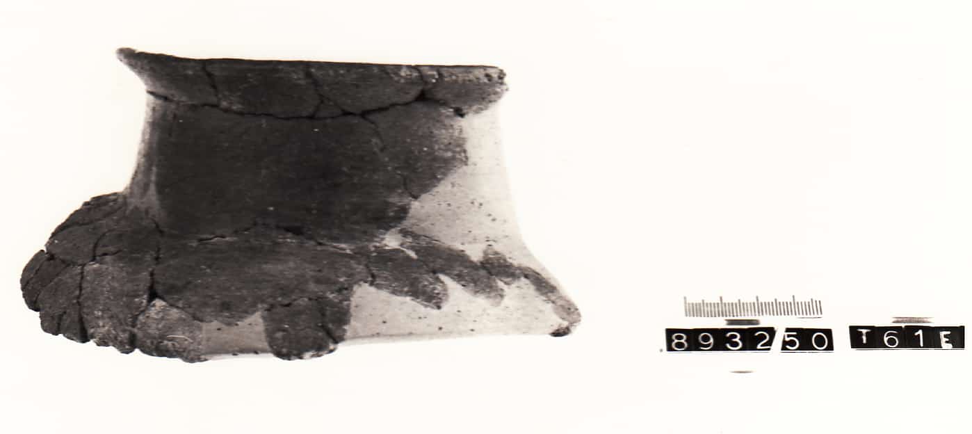 olla - Cultura Ligure (Prima Età del Ferro)