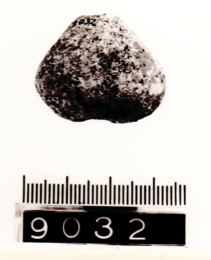 fuseruola - Cultura Ligure (Prima Età del Ferro)