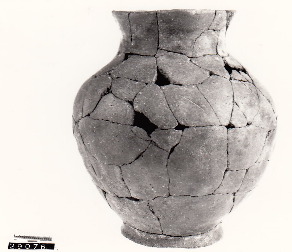 olla - Cultura Ligure (Prima Età del Ferro)