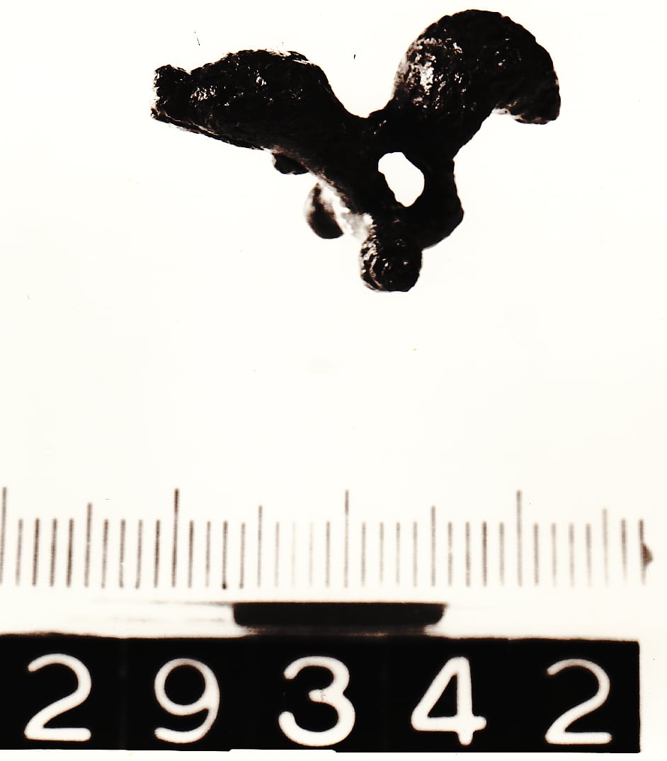 fibula - Cultura Ligure (fine VIII a.C)