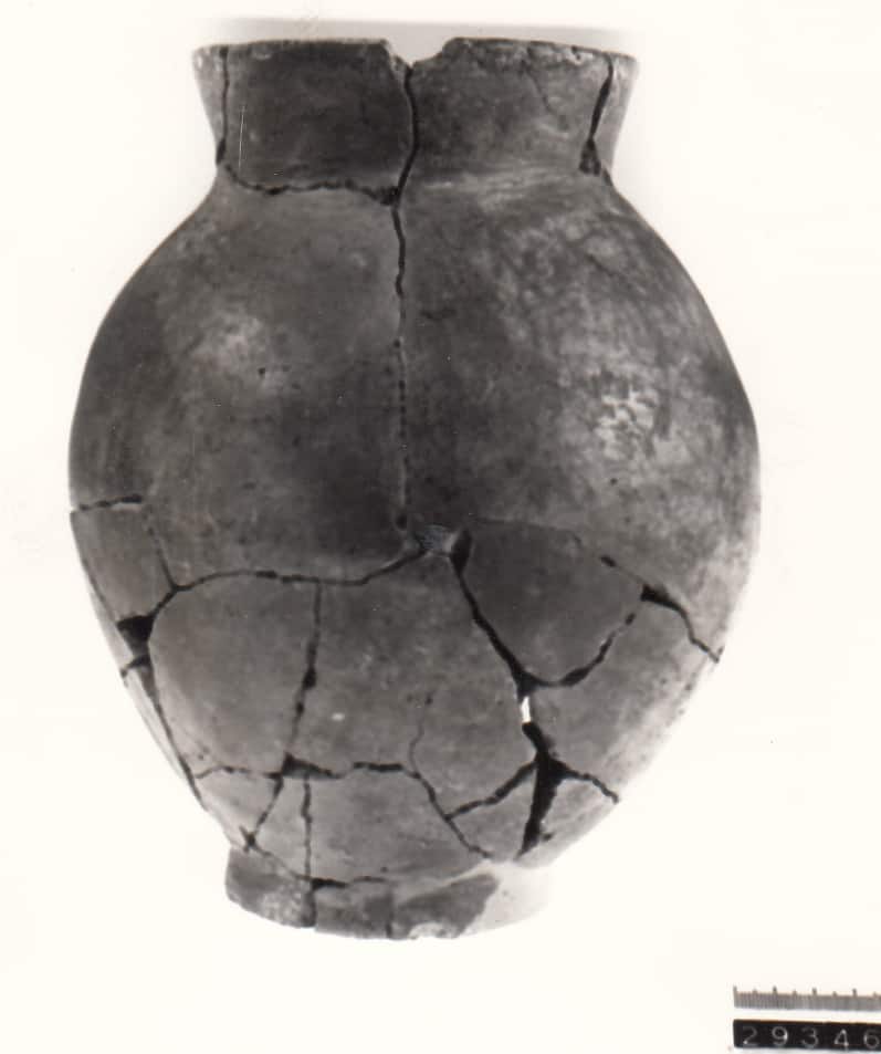 olla - Cultura Ligure (fine VIII a.C)