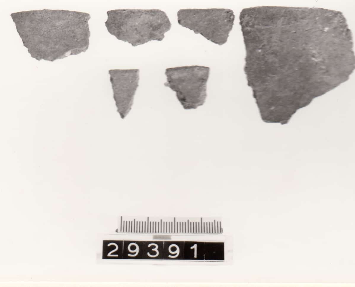 scodella - Cultura Ligure (VII a.C)