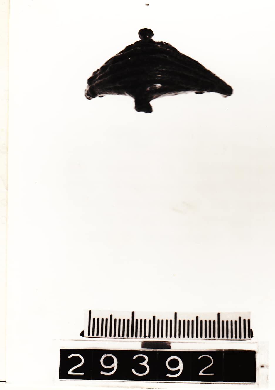 fibula - Cultura Ligure (VII a.C)