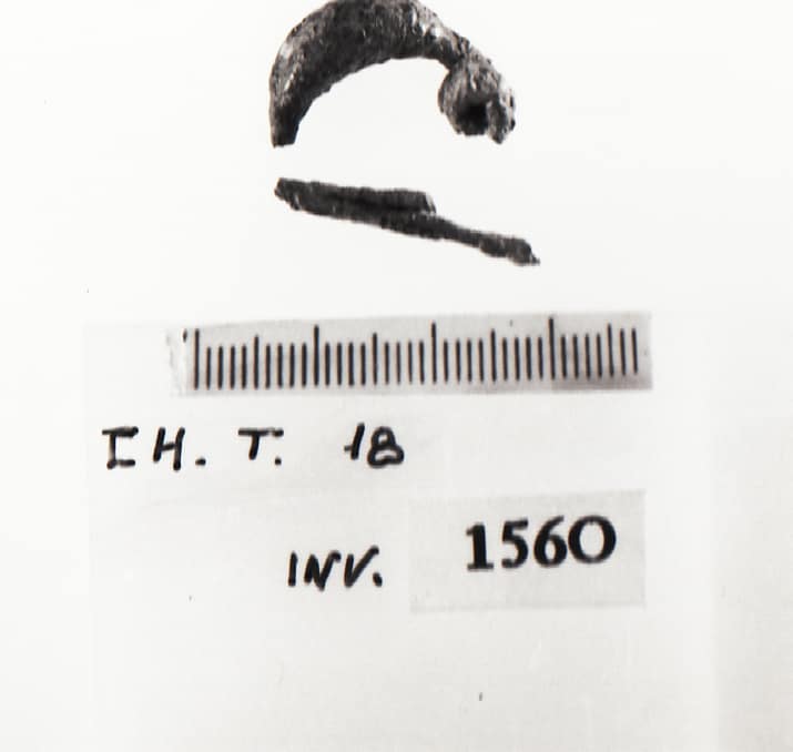 fibula - Cultura Ligure (Prima Età del Ferro)