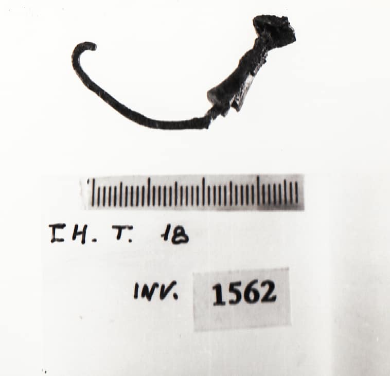 fibula - Cultura Ligure (Prima Età del Ferro)