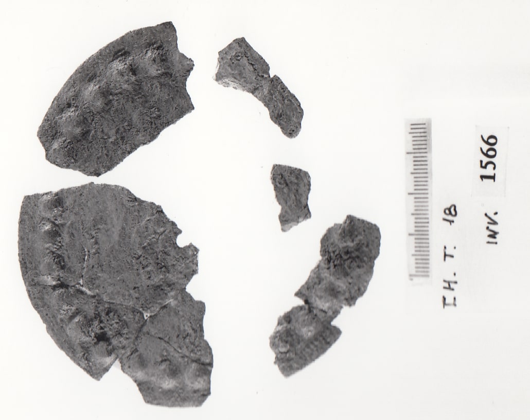 disco - Cultura Ligure della Prima Età del Ferro (VII a.C)