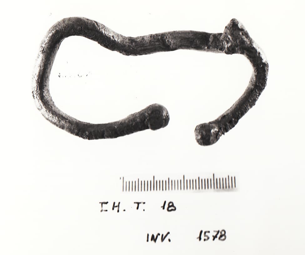 bracciale - Cultura Ligure della Prima Età del Ferro (Prima Età del Ferro)