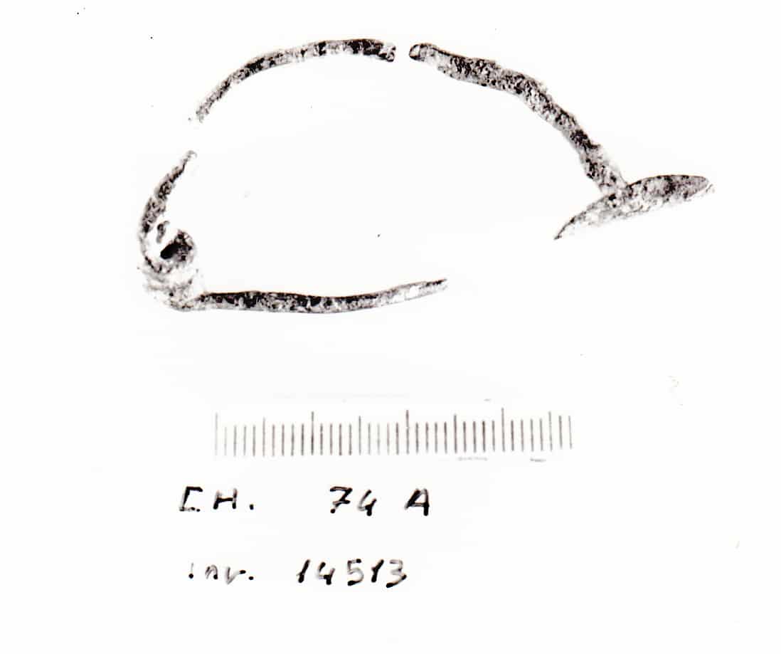 fibula - Cultura Ligure della Prima Età del Ferro (VIII - VII a.C)