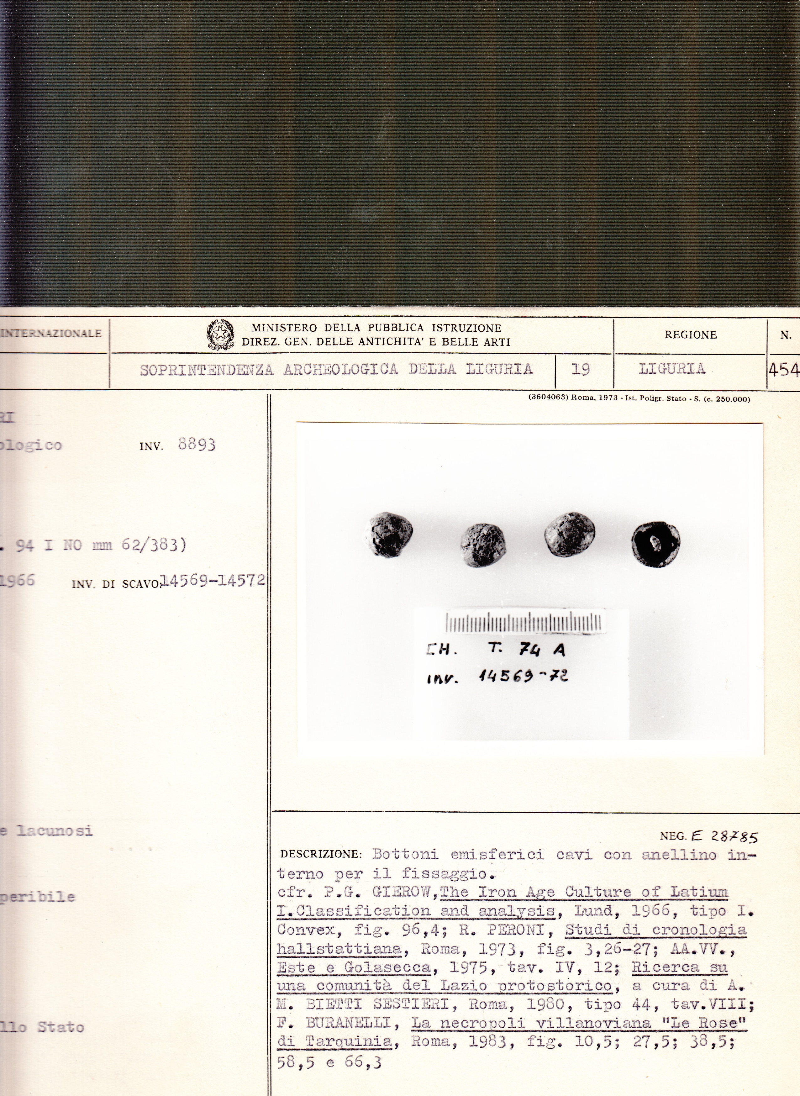 bottone - Cultura Ligure della Prima Età del Ferro (VII a.C)