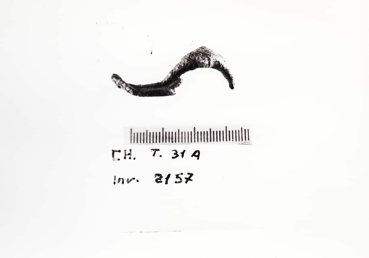 fibula - Cultura Ligure della Prima Età del Ferro (VII a.C)