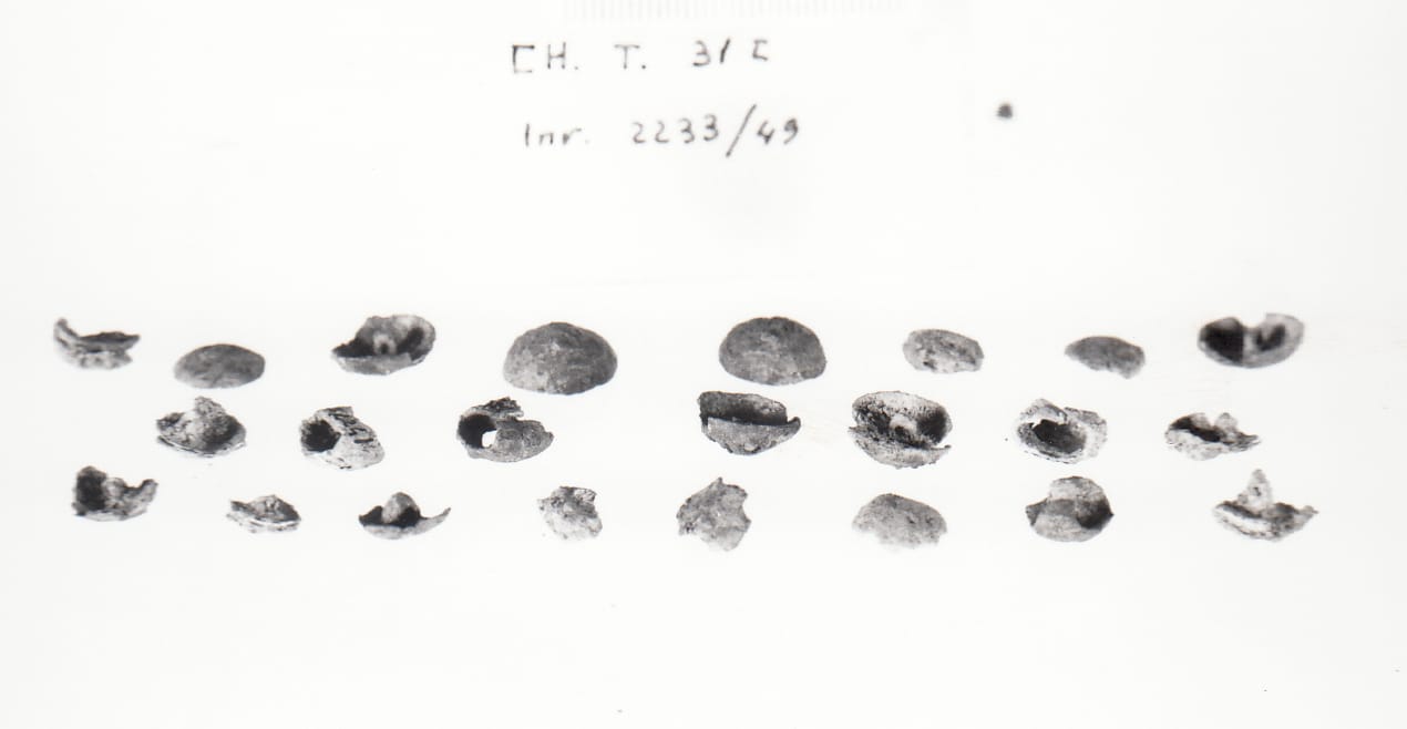 bottone - Cultura Ligure della Prima Età del Ferro (pieno - prima metà VII a.C. - VI a.C)