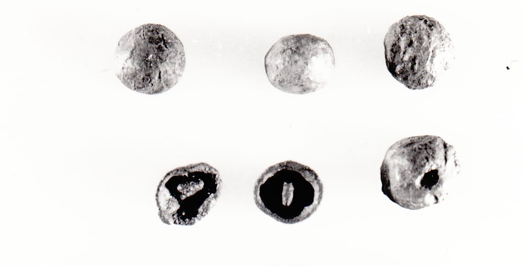 bottone - Cultura Ligure della Prima Età del Ferro (piena - prima metà VII a.C. - VI a.C)