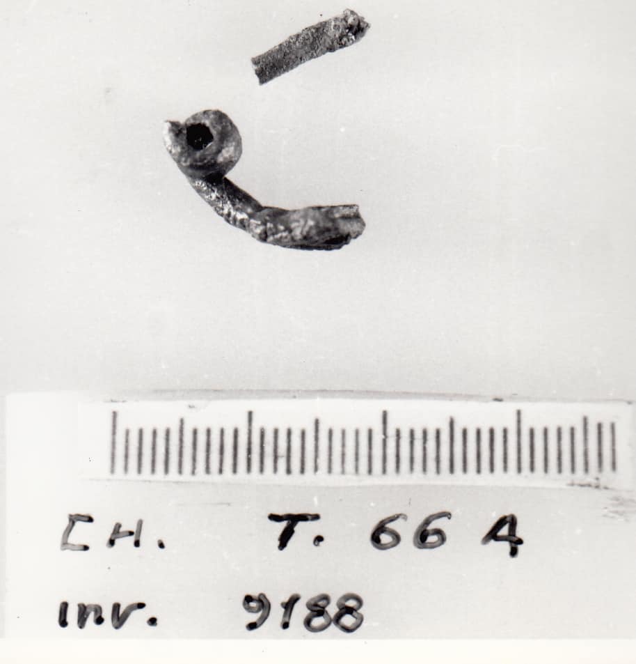 fibula - Cultura Ligure della Prima Età del Ferro (VII a.C)