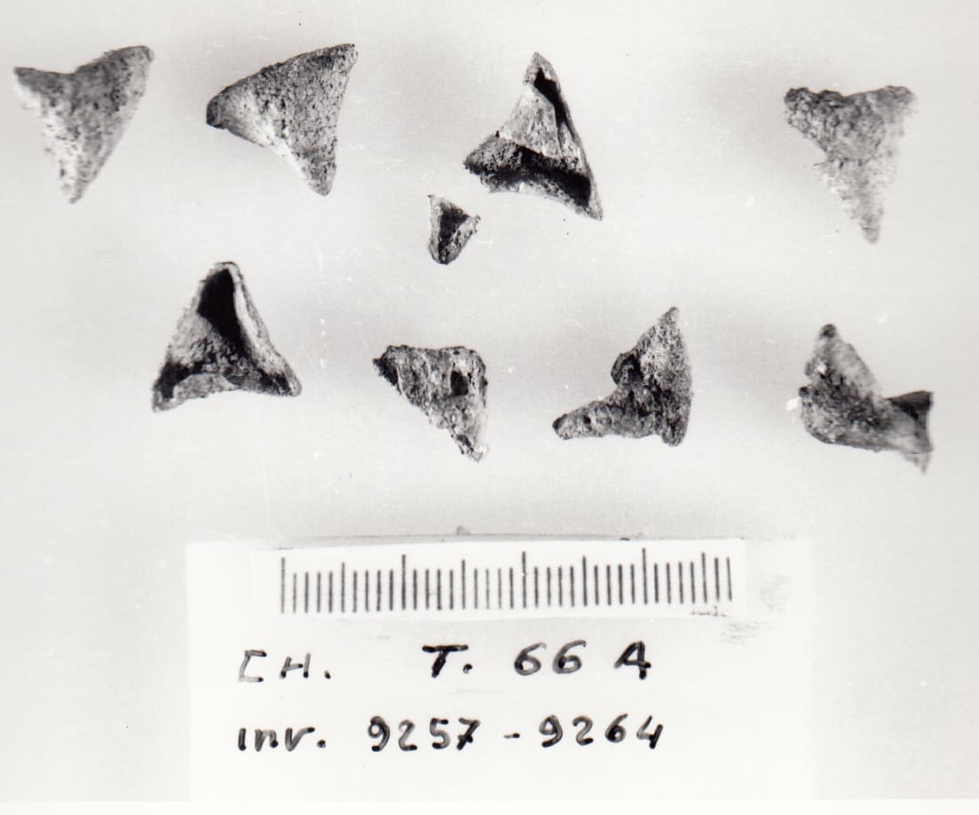 borchie 8 - Cultura Ligure della Prima Età del Ferro (VII a.C)