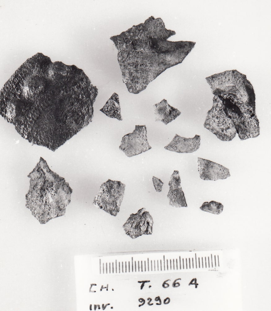 disco - Cultura Ligure della Prima Età del Ferro (VII a.C)